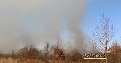 Пожар на нискостеблеста вегетација во месноста Велмешко блато